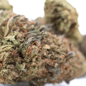 Bubba Kush CBD full term hemp flower dense frosty buds with orange pistils and deep green color