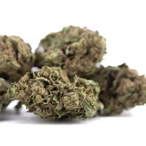 Cola THCa full term hemp flower large outdoor buds with dense trichomes and natural structure