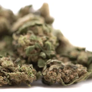 Cola full term THCa smalls flower compact frosty buds with deep green tones