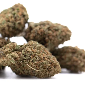 Critical Berries CBD hemp flower dense frosty buds with vibrant green color and orange pistils