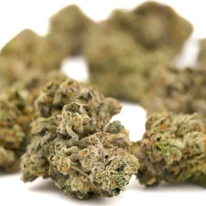 Dat Flavor indoor THCa flower wholesale dense frosty buds with bright green tones and orange pistils