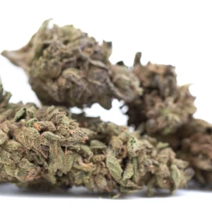 Dirty Laundry THCa full term hemp flower dense outdoor buds with frosty trichomes and orange pistils