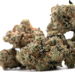 Dirty Laundry full term THCa smalls flower compact frosty buds with deep green color and orange pistils