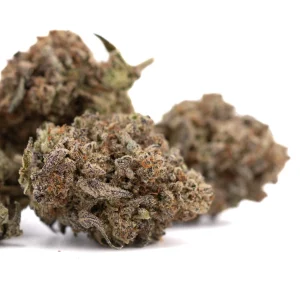 Dough Boy THCa hemp flower greenhouse buds with frosty trichomes and orange pistils