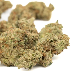 Duct Tape THCa hemp flower greenhouse grown dense frosty buds with orange pistils