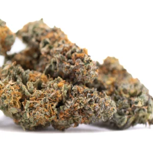 Gas Guzzler Indoor THCa Flower dense frosty buds