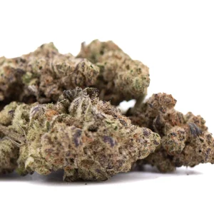 Gassa Purple THCa greenhouse hemp flower with purple buds and trichomes