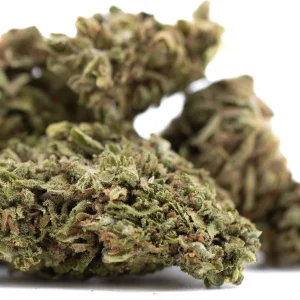 Glue CBD hemp flower dense resinous buds with frosty trichomes and bright orange pistils