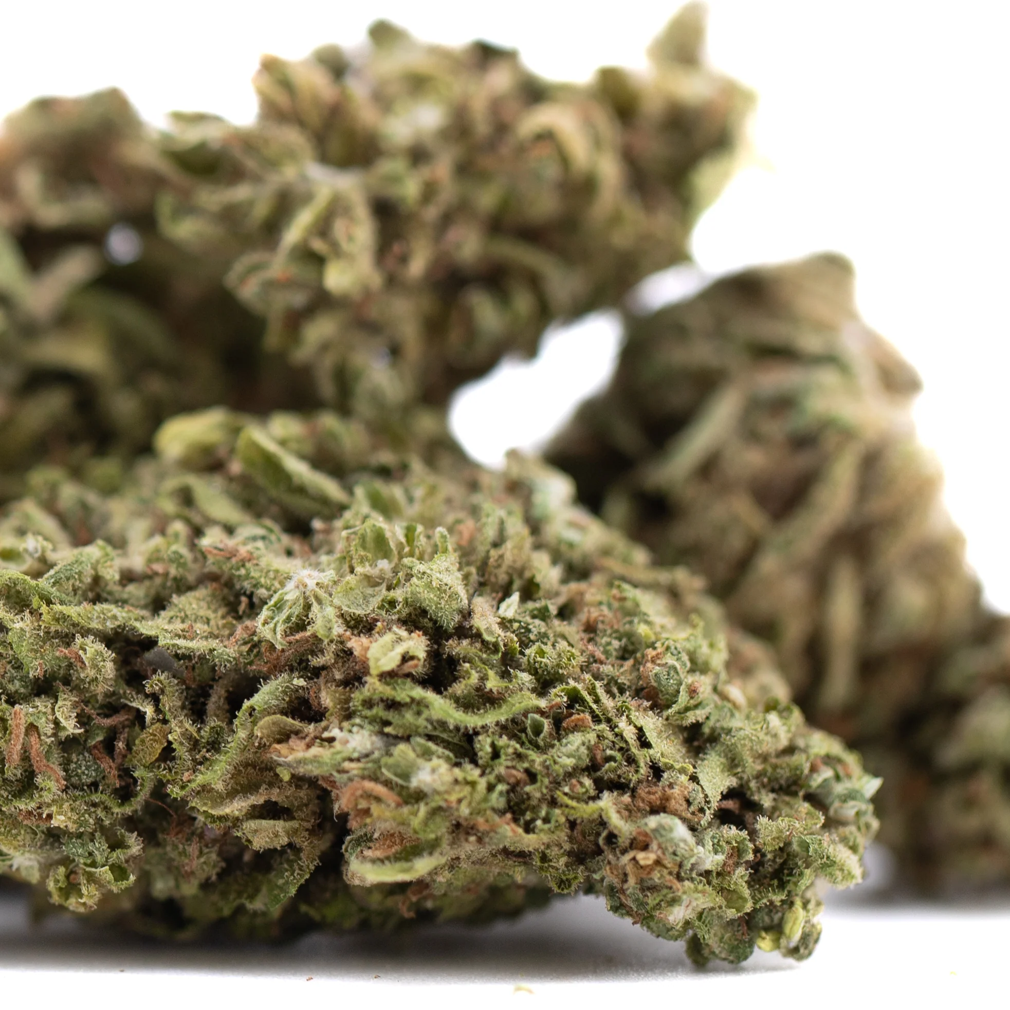 Glue CBD hemp flower dense resinous buds with frosty trichomes and bright orange pistils