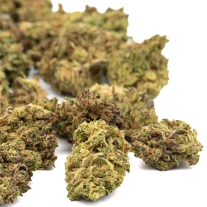 Hawaiian Haze Delta 8 hemp flower dense tropical buds with frosty trichomes and orange pistils