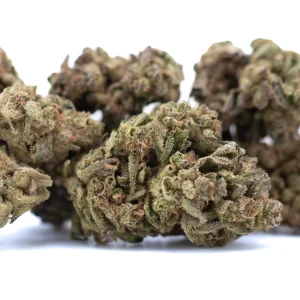 Ice Cream THCa full term hemp flower dense outdoor buds with frosty trichomes and orange pistils