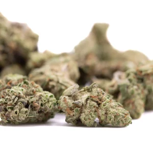 Joker OG THCa greenhouse hemp flower small buds with frosty trichomes and orange pistils