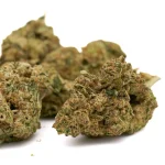 Lava Cake THCa hemp flower greenhouse grown buds with frosty trichomes and deep purple tones