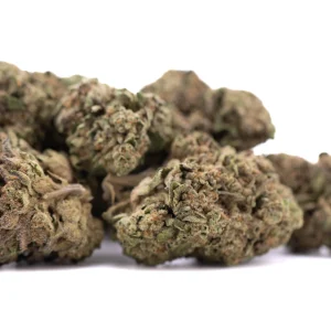 Lemon Cherry Gelato THCa greenhouse hemp flower buds with purple hues and trichomes