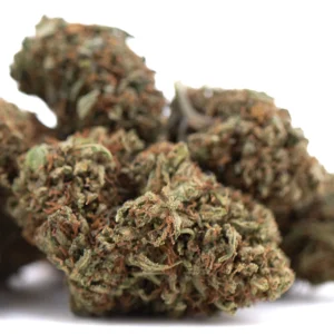 Lemon Octane CBD hemp flower dense frosty buds with vibrant green color and orange pistils