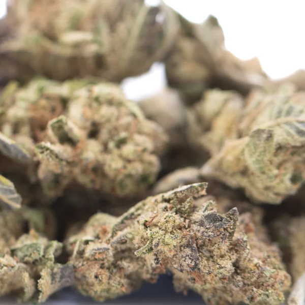 Lung Buster THCa Flower Greenhouse - Hemp Flower Co