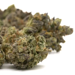 Lung Buster indoor THCa hemp flower buds with heavy trichomes and orange pistils