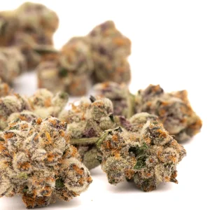 Mac And Gary indoor THCa flower dense frosty buds with green and purple tones and bright orange pistils