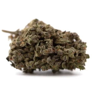 Mendo Breath THCa flower full-term buds with dense structure and frosty trichome coverage