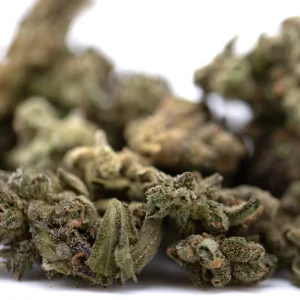 Mendo Breath THCa flower smalls full term outdoor hemp buds with frosty trichomes