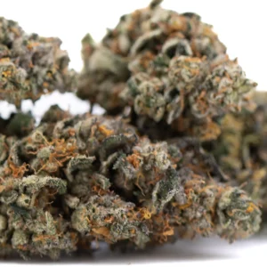 Orange Runtz indoor THCa flower wholesale dense frosty buds with bright green tones and orange pistils