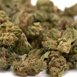 Pivot CBD hemp flower small buds with frosty trichomes and vibrant green color