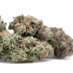 Platinum Huckleberry Cookies Indoor THCa Flower dense purple hybrid buds