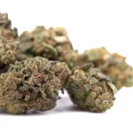 Poison Gushers THCa greenhouse hemp flower dense frosty buds