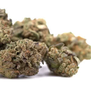 Poison Gushers THCa greenhouse hemp flower dense frosty buds