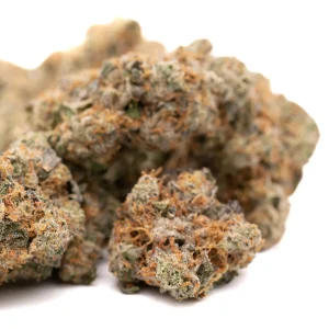 Pressure indoor THCa flower dense frosty buds with deep green tones and bright orange pistils