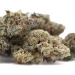 Purple Daiquiri Indoor THCa Flower dense purple hybrid buds