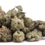 Purple Pop Rocks THCa Flower – Greenhouse Exotic Hemp Strain