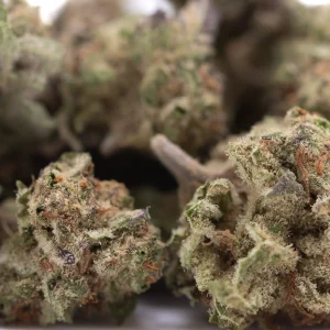 Purple Pop Rocks THCa flower hybrid buds with purple undertones