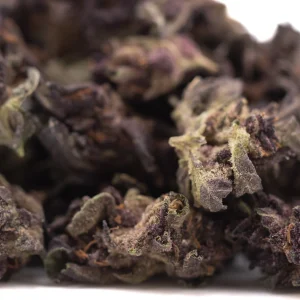 Purple Queen THCa greenhouse hemp flower small buds with purple hues and trichomes