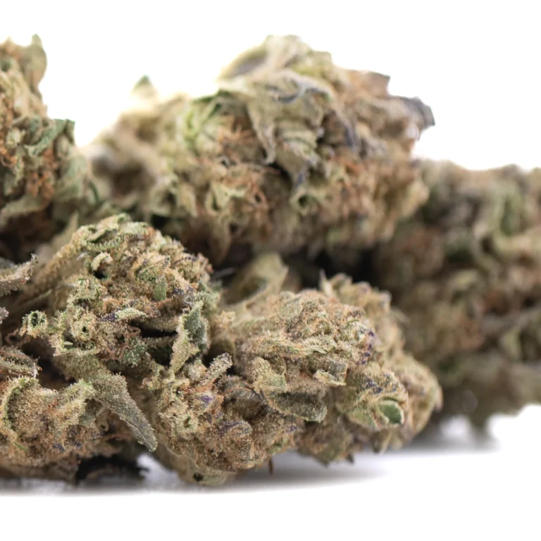 Royal Highness THCa flower full term wholesale dense buds with frosty trichomes and rich green coloration