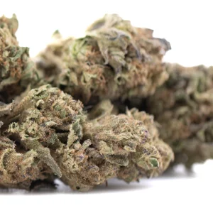 Royal Highness THCa full term hemp flower dense outdoor buds with frosty trichomes and orange pistils