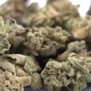 Rozay Cake THCa flower greenhouse premium hemp buds