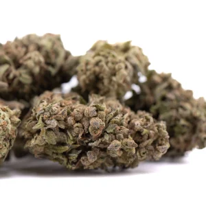 Strawberry Cheesecake THCa flower full term outdoor buds with frosty trichomes and bright orange pistils