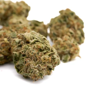 Super Boof THCa hemp flower greenhouse grown buds with heavy trichomes and vibrant coloration