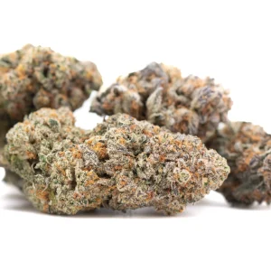 Tropical Punch indoor THCa flower dense frosty buds with bright green tones and orange pistils