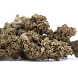 Turtle Taffy THCa full term hemp flower dense outdoor buds with frosty trichomes and vibrant green color