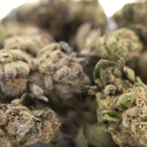 Zushi THCa flower greenhouse premium hemp buds