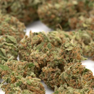 bulk-bubble-gum-cbd-flower-smalls-wholesale-sweet-candy-terpene-buds