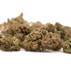 early-cherry-cbd-hemp-flower-dense-trichome-rich-sweet-cherry-buds