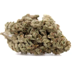 face-fat-thca-flower-full-term-dense-trichome-rich-creamy-gas-buds