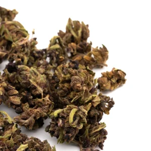 gorilla-glue-cbd-hemp-flower-dense-trichome-rich-gassy-buds