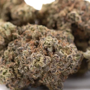 premium-black-amber-hybrid-thca-flower-dense-dark-buds-with-heavy-trichomes