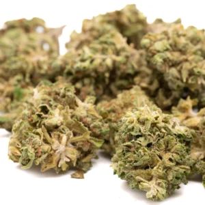 tune-cbd-hemp-flower-dense-trichome-rich-premium-buds