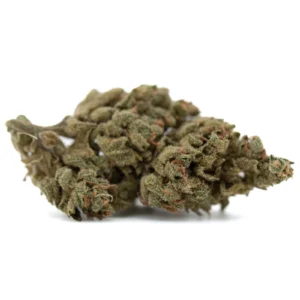 TriCross THCa flower full term buds with dense structure and frosty trichome coverage